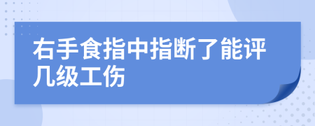 右手食指中指断了能评几级工伤