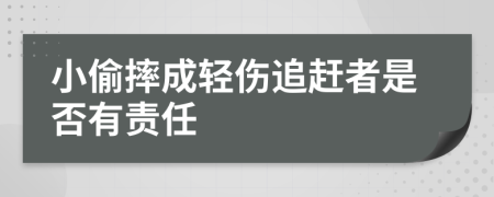 小偷摔成轻伤追赶者是否有责任