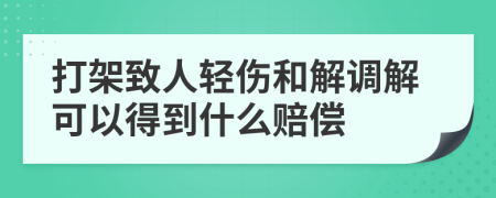 打架致人轻伤和解调解可以得到什么赔偿