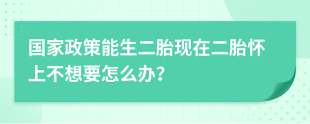 国家政策能生二胎现在二胎怀上不想要怎么办？