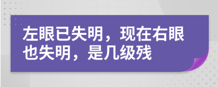 左眼已失明，现在右眼也失明，是几级残