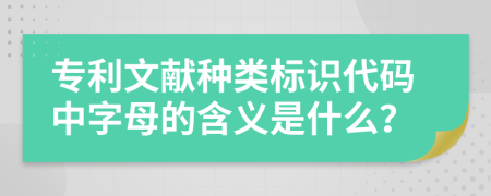 专利文献种类标识代码中字母的含义是什么？