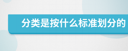 分类是按什么标准划分的