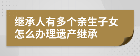 继承人有多个亲生子女怎么办理遗产继承
