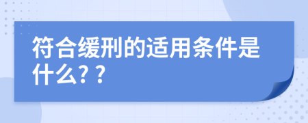 符合缓刑的适用条件是什么? ?