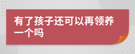 有了孩子还可以再领养一个吗