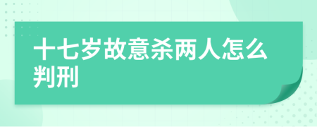 十七岁故意杀两人怎么判刑