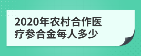 2020年农村合作医疗参合金每人多少