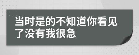 当时是的不知道你看见了没有我很急