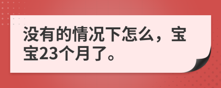 没有的情况下怎么，宝宝23个月了。