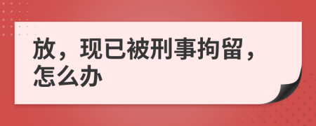 放，现已被刑事拘留，怎么办