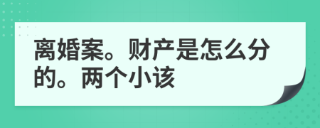 离婚案。财产是怎么分的。两个小该