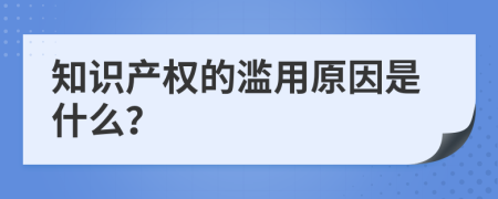 知识产权的滥用原因是什么？