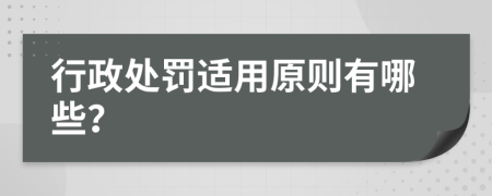 行政处罚适用原则有哪些？