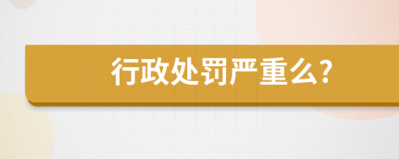 行政处罚严重么?