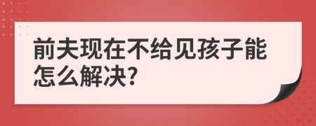 前夫现在不给见孩子能怎么解决?