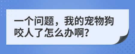 一个问题，我的宠物狗咬人了怎么办啊？