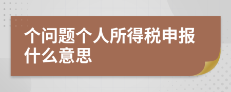 个问题个人所得税申报什么意思