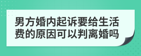 男方婚内起诉要给生活费的原因可以判离婚吗