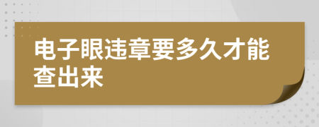 电子眼违章要多久才能查出来