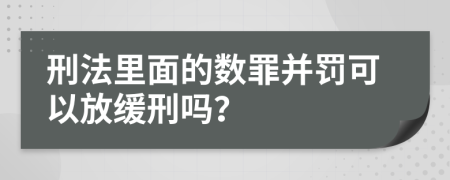 刑法里面的数罪并罚可以放缓刑吗？