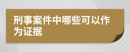 刑事案件中哪些可以作为证据