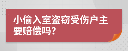 小偷入室盗窃受伤户主要赔偿吗？