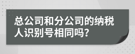 总公司和分公司的纳税人识别号相同吗？