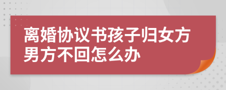 离婚协议书孩子归女方男方不回怎么办