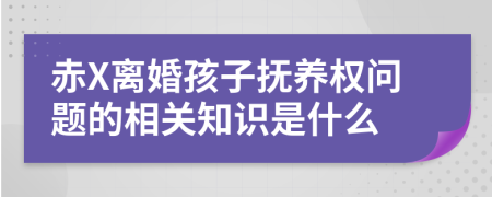 赤X离婚孩子抚养权问题的相关知识是什么