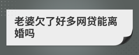老婆欠了好多网贷能离婚吗