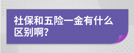 社保和五险一金有什么区别啊？