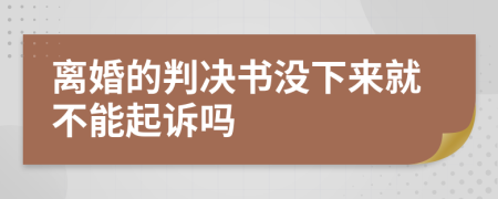 离婚的判决书没下来就不能起诉吗