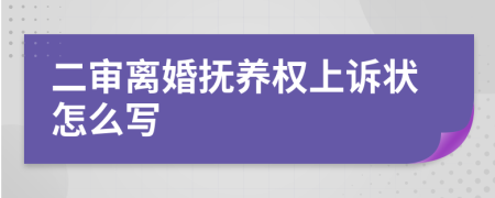 二审离婚抚养权上诉状怎么写