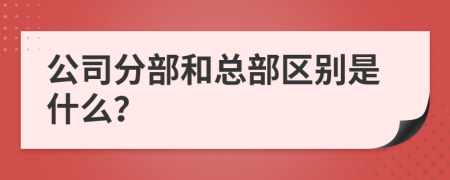 公司分部和总部区别是什么？