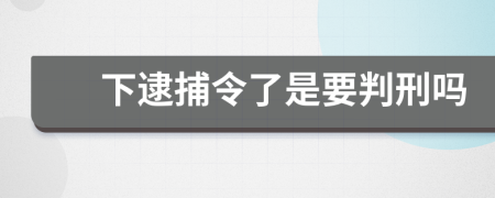 下逮捕令了是要判刑吗