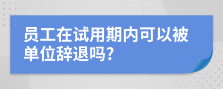 员工在试用期内可以被单位辞退吗?