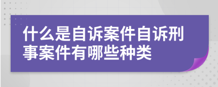 什么是自诉案件自诉刑事案件有哪些种类