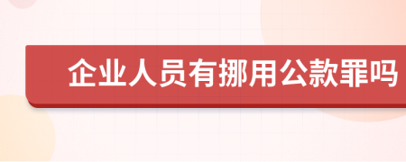 企业人员有挪用公款罪吗