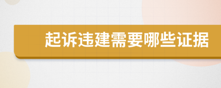 起诉违建需要哪些证据