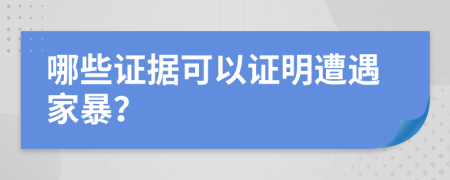 哪些证据可以证明遭遇家暴？