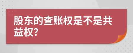 股东的查账权是不是共益权？