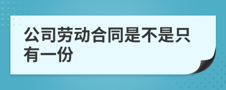 公司劳动合同是不是只有一份