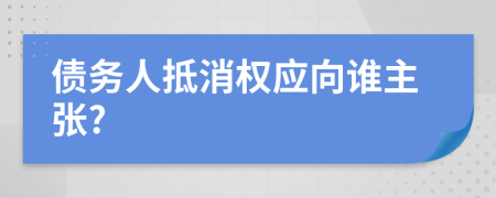 债务人抵消权应向谁主张?