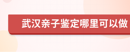 武汉亲子鉴定哪里可以做