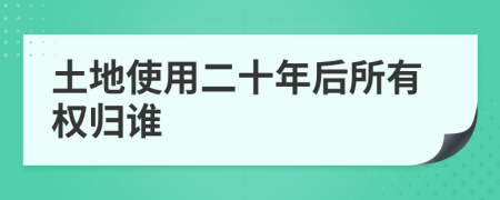 土地使用二十年后所有权归谁