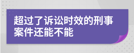 超过了诉讼时效的刑事案件还能不能