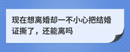 现在想离婚却一不小心把结婚证撕了，还能离吗