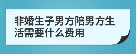 非婚生子男方陪男方生活需要什么费用