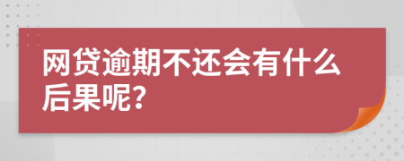 网贷逾期不还会有什么后果呢？